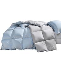 富安娜 FUANNA 酷丝棉 90%灰鸭绒羽绒被芯 四季被春秋被 600g填充 203*229cm 酷丝棉-经典款 双人被1.5/1.8米(被芯203*229cm)