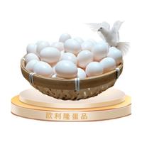 欧利隆新鲜鸽子蛋农家五谷宝宝儿童老年营养 五谷鸽子蛋 实惠装  30枚