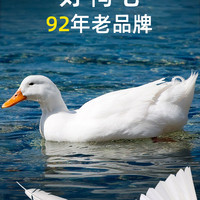 亚狮龙羽毛球RSL SK.NO7系列耐打稳定专业训练比赛用球 球SK NO.7号（12只装 76速）