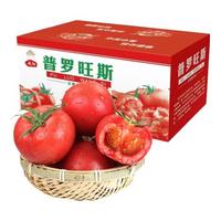 (现摘顺丰发)普罗旺斯西红柿 陕西泾阳生吃沙瓤西红柿农家自种时令生鲜 水果 5斤装(净重4.5-5斤)(普罗旺斯西红柿)