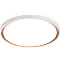 雷士 NVC Lighting照明 雷士 NVC LightingLED吸顶灯 现代简约餐厅卧室过道灯具 双层发光香槟金AI灯饰