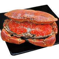  东上御品 英国熟冻面包蟹400-600g*2只 深海捕捞 满黄大螃蟹膏蟹-源头直发