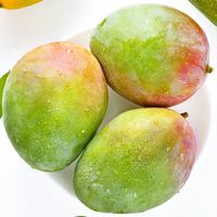 百亿补贴：舟雨农业 彩箱四川攀枝花凯特大芒果4.5斤装水果整箱礼盒