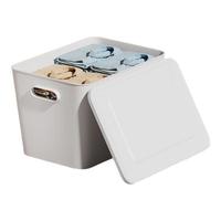 收纳盒子大号带盖零食玩具桌面文件收纳筐衣服塑料整理储物盒 【带盖大号】单只装