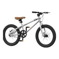 小探险家 儿童自行车6-10岁自行车儿童单车儿童自行车小孩自行车儿童山地车 顶配银|碟刹+平把+礼包 20寸