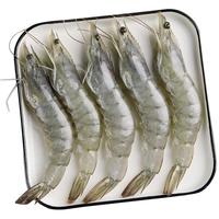 一虾一世界 国产大虾白虾盐冻对虾 大号14-16cm约20只