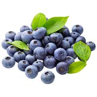 Mr.Seafood 京鲜生 国产蓝莓 4盒装 果径18mm+ 新鲜水果 源头直发包邮