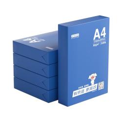 京东京造 A4打印纸 80g复印纸 釉彩甄享系列 中高档 双面草稿纸 500张/包 5包/箱（2500