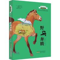 《动物小说大王沈石溪·野生动物救助站：野马奔腾》