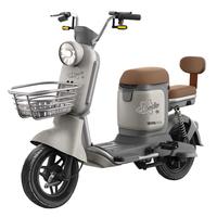 宝岛电动自行车N16超威铅酸电池48V20Ah续航70km豪华智能解锁艺术灰