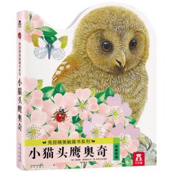 《亮丽精美触摸书系列·小猫头鹰奥奇》（精装）