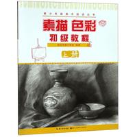 《青少年宫美术培训丛书·素描色彩初级教程 上》