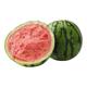 京鲜生 云南麒麟无籽西瓜 1粒装 净重7-9斤 水果源头直发