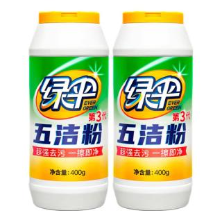 绿伞 五洁粉400g*2瓶 不锈钢清洁剂 家庭清洁