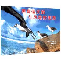 《亲子摄影绘本系列·黑背信天翁与风是好朋友》