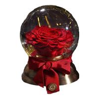 THE BEAST 野兽派 白雪公主的苹果 玫瑰永生花水晶球