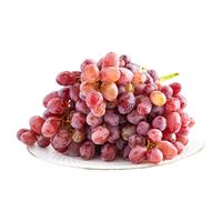 京觅 无籽红提 1kg