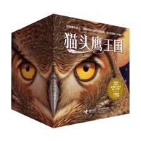 《猫头鹰王国》（套装共15册）