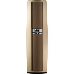 DAIKIN 帕缔能系列 FVXF172WC-N 新一级能效 立柜式空调 3匹 金色
