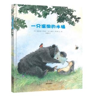 《一只漏洞的水桶》（精装）