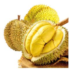迎畔 泰国金枕榴莲新鲜果巴掌榴莲水果一整个带箱带壳金枕头端午节 净重5-6斤丨报恩榴莲丨1-2个果 净