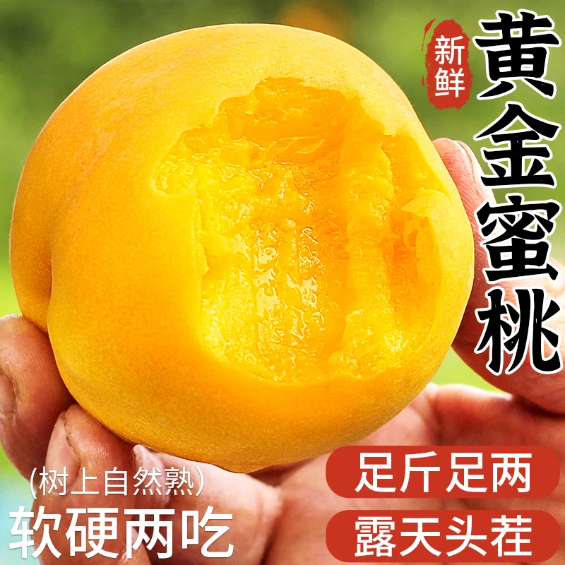 春福乐 山东蒙阴黄桃