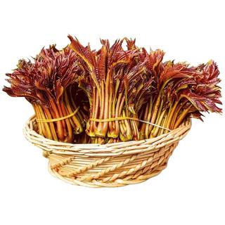 京地达云南头茬露天新鲜红油香椿芽纯芽净重250g装空运蔬菜源头直发 250克【品质纯芽】