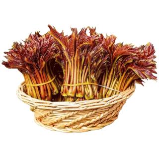 京地达云南头茬露天新鲜红油香椿芽纯芽净重250g装空运蔬菜源头直发 250克【品质纯芽】