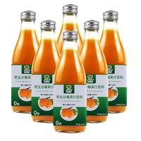 永富 大兴安岭野生沙棘果汁300ml*6瓶  生榨饮料整箱 野生沙棘汁300ml*6瓶