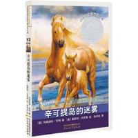 《启发精选纽伯瑞大奖少年小说·辛可提岛的迷雾》