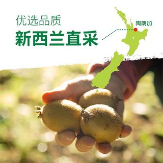 Zespri佳沛奇异果绿心新西兰猕猴桃礼盒22枚特大果单果134g+