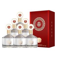 WULIANGYE 五粮液 五粮国宾套酒·五洲版 52%vol 浓香型白酒 500ml*6瓶 整箱彩装
