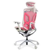 ERGOUP 有谱 蝴蝶 人体工学电脑椅 灰框粉网