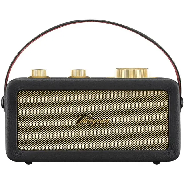  SANGEAN/山进 高音质低音炮 蓝牙音箱