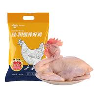 温氏 供港文昌母鸡1.6斤 农家散养土鸡 冷冻走地鸡 椰子鸡煲汤食材