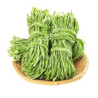 相遇红颜 新鲜贡菜干干货特级脱水蔬菜 云南大理农家苔干苔菜 100g 精品大理贡菜100g