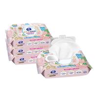 维达（Vinda）益生菌湿厕纸60片*4包 女性温和私处清洁 湿纸巾厕纸 湿纸巾 60片*4包 【益生菌呵护】