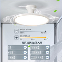 LINWON/领王 变频 吊扇灯 遥控器 多种色温 60W以上