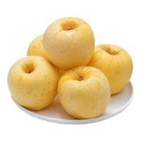 京地达 烟台黄金维纳斯苹果水果 净4.5斤 中果75mm+纯甜果源头直发 冰糖心丑果 大果 80-85mm