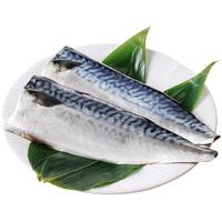 弹指鲜生 挪威青花鱼 大西洋鲭鱼 冷冻鲐鲅鱼 生鲜 鱼类青鱼 海鲜水产 2袋装 共12片 1840g