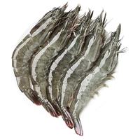渔游记 青岛大虾 3斤120-150只白虾大虾基围虾对虾 海鲜生鲜 源头直发