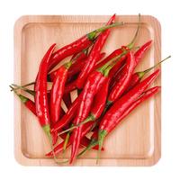 京百味云南 小米辣 净重1斤 红辣椒 剁椒 朝天椒 新鲜蔬菜 源头直发
