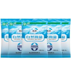 海跃 自然海盐400g0添加日晒海盐无抗结剂食用盐 5袋