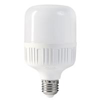 洛林 E27螺口柱形灯泡 50W 白光