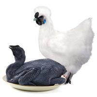 温氏供港白凤乌鸡600g*3 高品质供港鸡 十全乌骨鸡 农家慢养土鸡整鸡