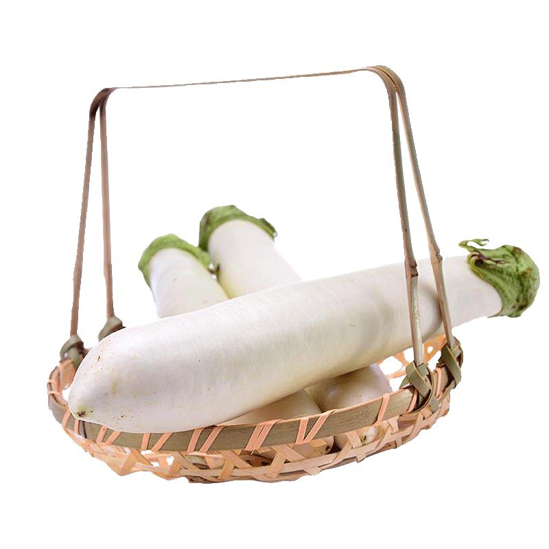 种菜记 蔬菜苗大全草莓苗番茄苗辣椒苗西瓜苗四季南方水果阳台盆栽苗秧 白长茄苗6棵