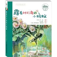 《世界儿童文学典藏馆·露着衬衫角的小蚂蚁》（典藏版）