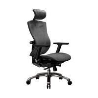 SIHOO 西昊 V1 人体工学电脑椅 银灰色