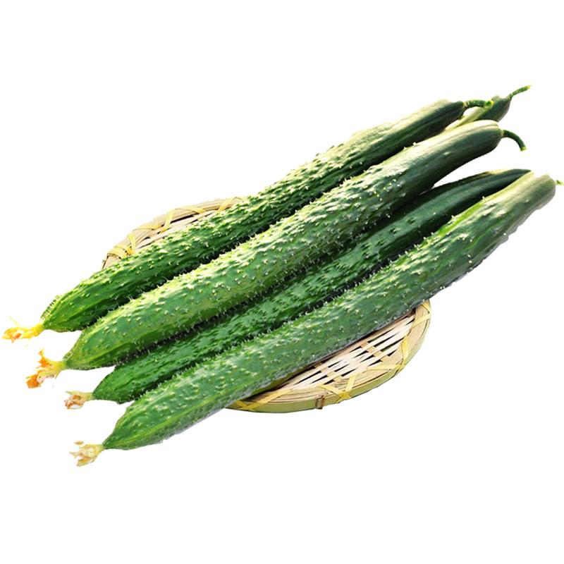 家美舒达 带刺黄瓜 750g