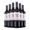 Casillero del Diablo 红魔鬼 干露酒庄中央山谷梅洛干型红葡萄酒 6瓶*750ml套装